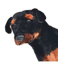 Jouet en peluche Chien de race Rottweiler Marron et noir XXL