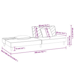 Canapé-lit à 2 places avec deux oreillers Gris foncé Velours
