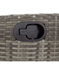 Ensemble à manger de jardin 5 pcs coussins gris résine tressée