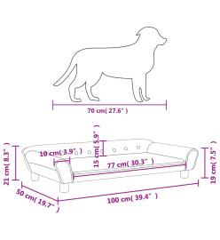 Lit pour chien gris clair 100x50x21 cm velours