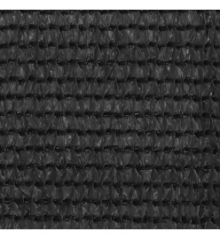 Tapis de tente 250x450 cm Anthracite