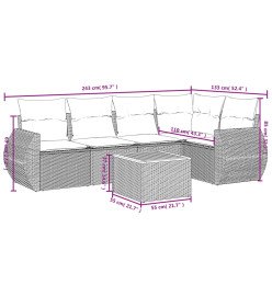 Salon de jardin avec coussins 6 pcs beige résine tressée