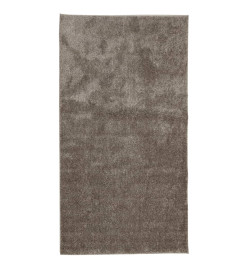 Tapis ISTAN à poils longs aspect brillant gris 80x150 cm