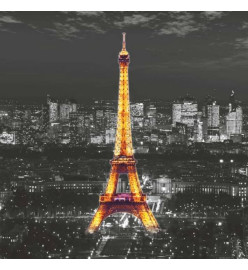 AG Design Papier peint photo Eiffel In The Night