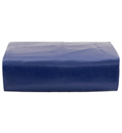 Bâche bleu 5x6 m 600 g/m²