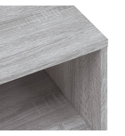 Meuble TV sonoma gris 120x34x37 cm bois d'ingénierie