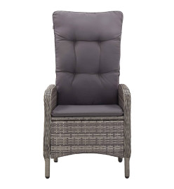 Mobilier à dîner de jardin 11 pcs Résine tressée Gris