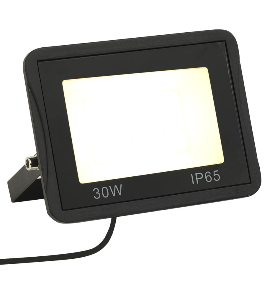 Projecteur à LED 30 W Blanc chaud