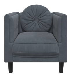 Fauteuil avec coussin gris foncé velours