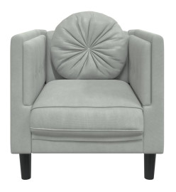 Fauteuil avec coussin gris clair Velours