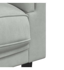 Fauteuil avec coussin gris clair Velours