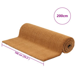 Tapis de porte naturel 100x200 cm fibre de coco touffeté