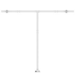 Auvent manuel rétractable avec LED 300x250 cm Anthracite