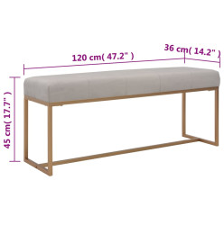 Banc 120 cm Gris Velours