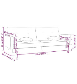 Canapé-lit à 2 places avec deux oreillers Taupe Tissu