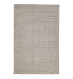 Tapis Sisal naturel 66x100 cm Sableux