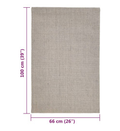 Tapis Sisal naturel 66x100 cm Sableux