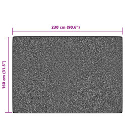 Tapis intérieur extérieur à poils courts 160x230cm antidérapant