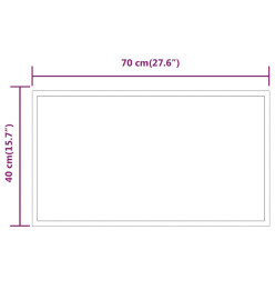 Miroir de salle de bain à LED 40x70 cm