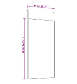 Miroir de porte Noir 30x60 cm Verre et aluminium