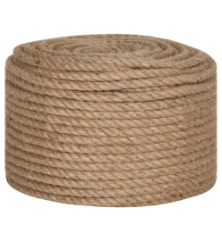 Corde de jute 25 m de long 14 mm d'épaisseur