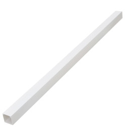 Goulotte de câble 100x60 mm 10 m PVC