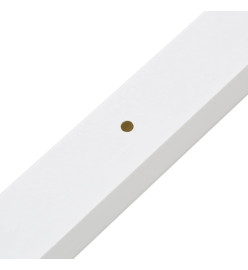 Goulotte de câble 100x60 mm 30 m PVC