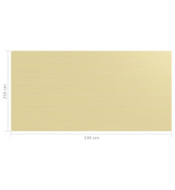 Tapis de tente 250x500 cm Beige