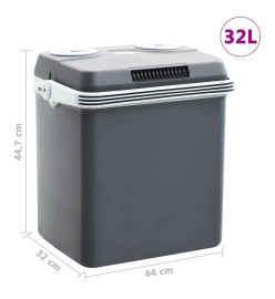 Glacière portable thermoélectrique 32 L 12 V 230 V A++