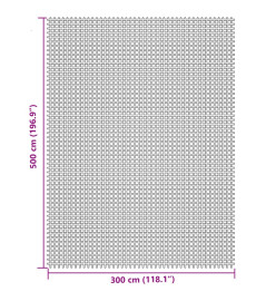 Tapis de sol de camping gris clair 5x3 m