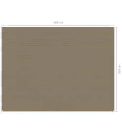 Tapis de tente 300x400 cm Taupe