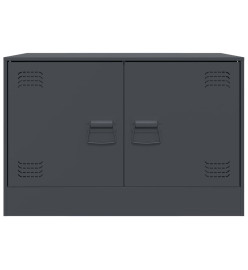 Meuble TV anthracite 67x39x44 cm acier