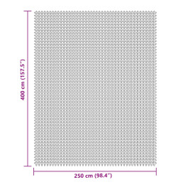 Tapis de sol de camping gris clair 4x2,5 m