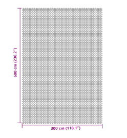 Tapis de sol de camping gris clair 6x3 m