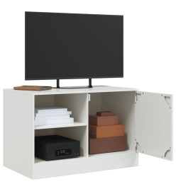 Meubles TV 2 pcs blanc 67x39x44 cm acier