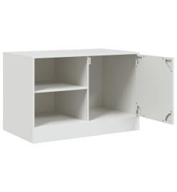 Meubles TV 2 pcs blanc 67x39x44 cm acier