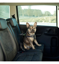 Kerbl Harnais de sécurité d’auto à animaux de compagnie 44-55 cm Noir