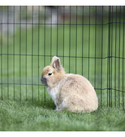 Kerbl Enclos d'extérieur avec porte pour animaux de compagnie Argenté