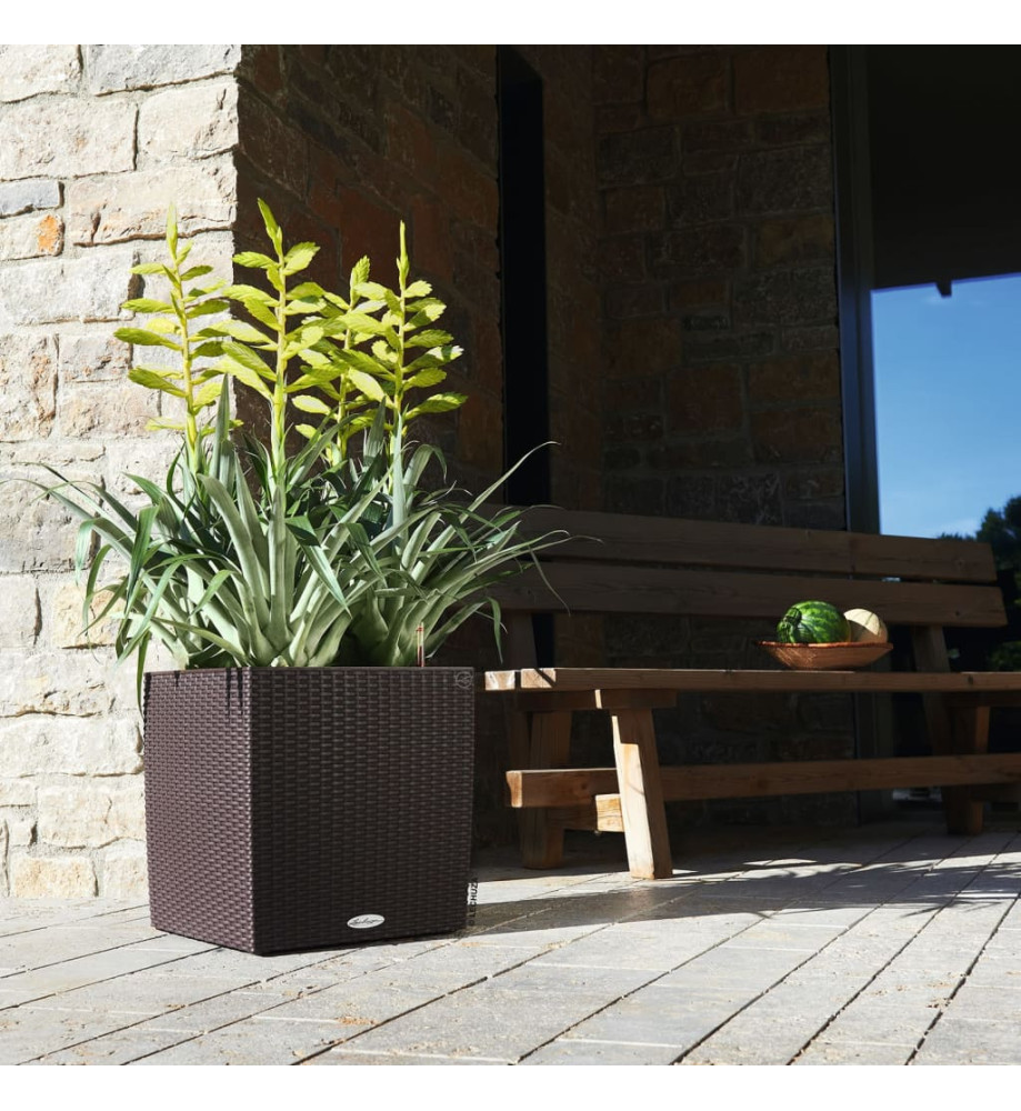 LECHUZA Jardinière CUBE Cottage 40 ALL-IN-ONE Moka LECHUZA Jardinière CUBE Cottage 40 ALL-IN-ONE Moka