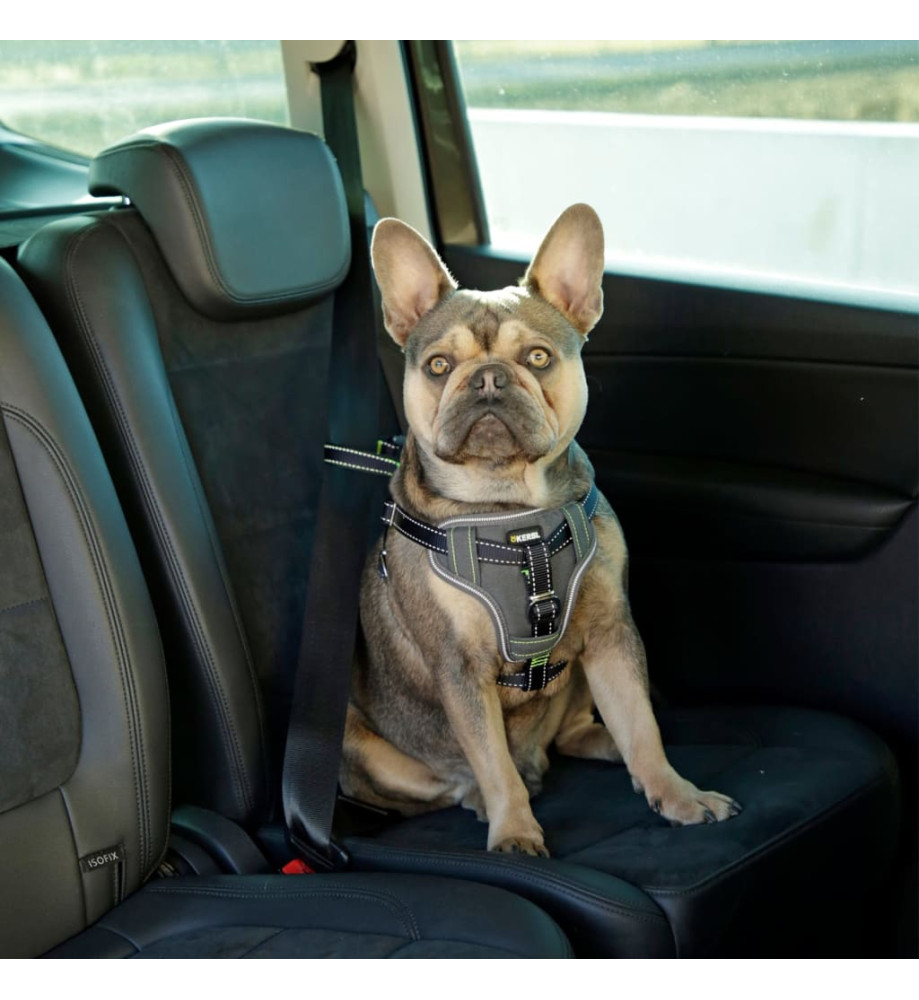 Kerbl Harnais de sécurité d’auto à animaux de compagnie 50-65 cm Noir