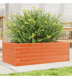 Jardinière cire marron 70x40x23 cm bois de pin massif