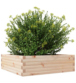 Jardinière 80x80x23 cm bois de pin massif
