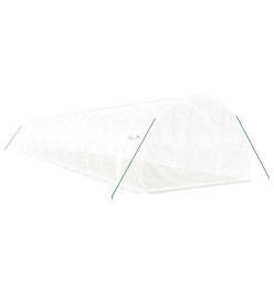 Serre avec cadre en acier blanc 48 m² 16x3x2 m