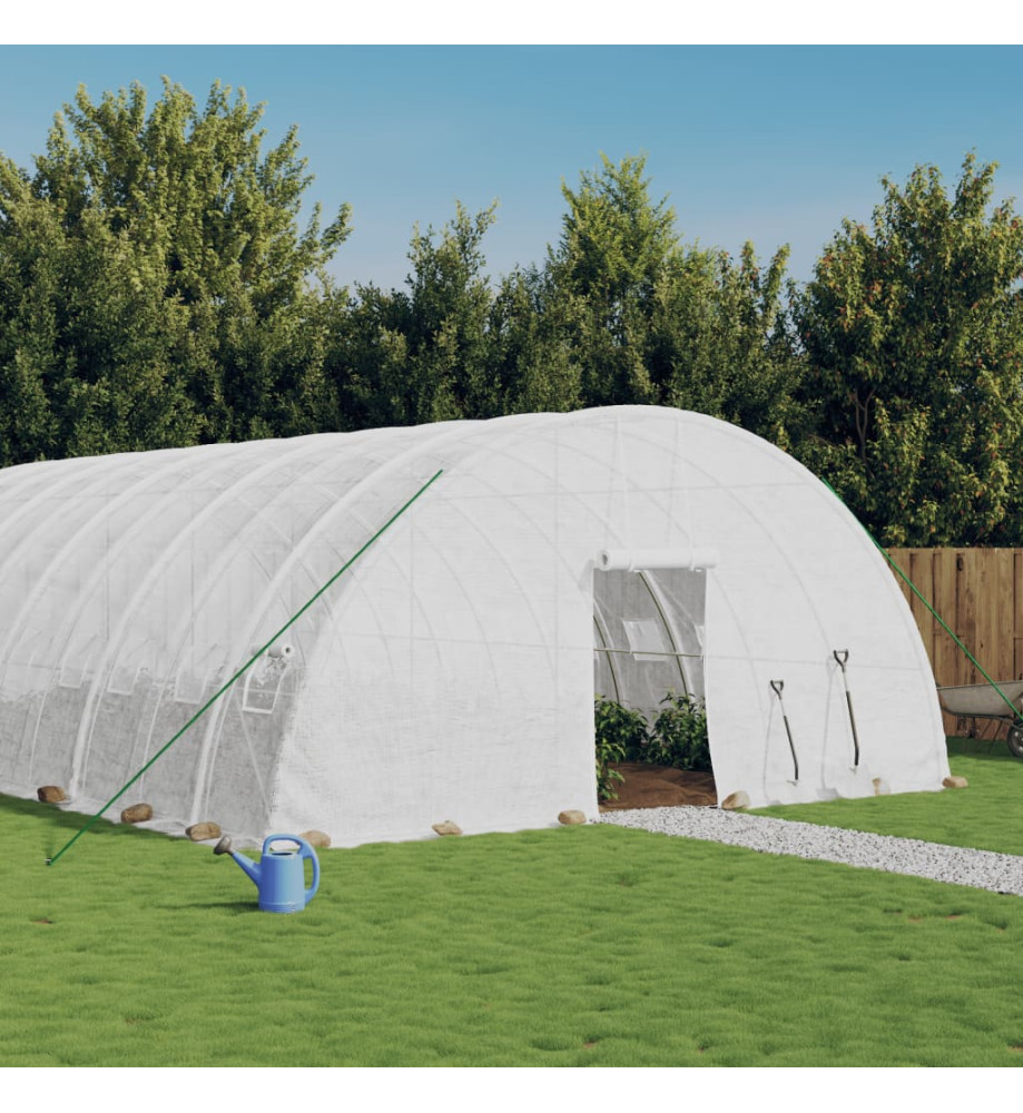 Serre avec cadre en acier blanc 120 m² 20x6x2,85 m