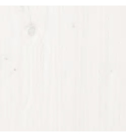Cadre de lit Blanc Bois massif 160x200 cm