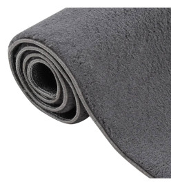 Tapis shaggy doux lavable 200x290 cm Antidérapant Anthracite