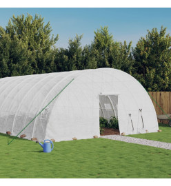 Serre avec cadre en acier blanc 144 m² 24x6x2,85 m