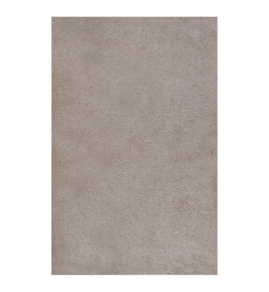 Tapis shaggy à poils longs Beige 200x290 cm