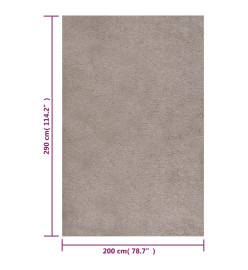 Tapis shaggy à poils longs Beige 200x290 cm