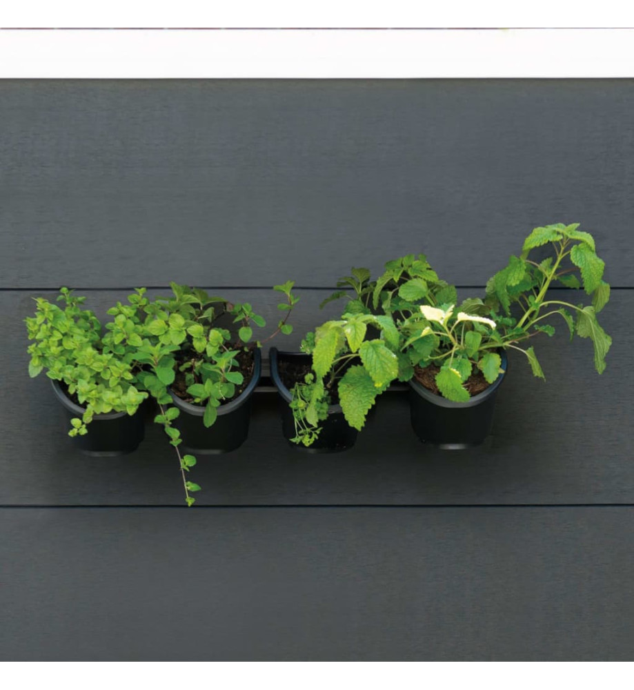 Nature Kit de fleurs et d'herbes/jardin vertical